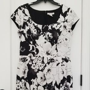 White House Black Market Fitted Dress